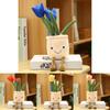 Adorable Lifelike Tulip Plush Toy Comfortable Soft Flower Pot Doll For Home Decor