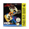 Alice A206 Acoustic Folk Guitar String Set: 1st, 2nd, 3rd/4th/5th/6th Strings.
