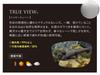 Zeque Polarized Sunglasses Matte TRUEVIEW Feiz'55 (F-2022 Chrome)