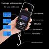 Portable High-Precision Mini Spring Scale for Household, Luggage, and Kitchen Weighing