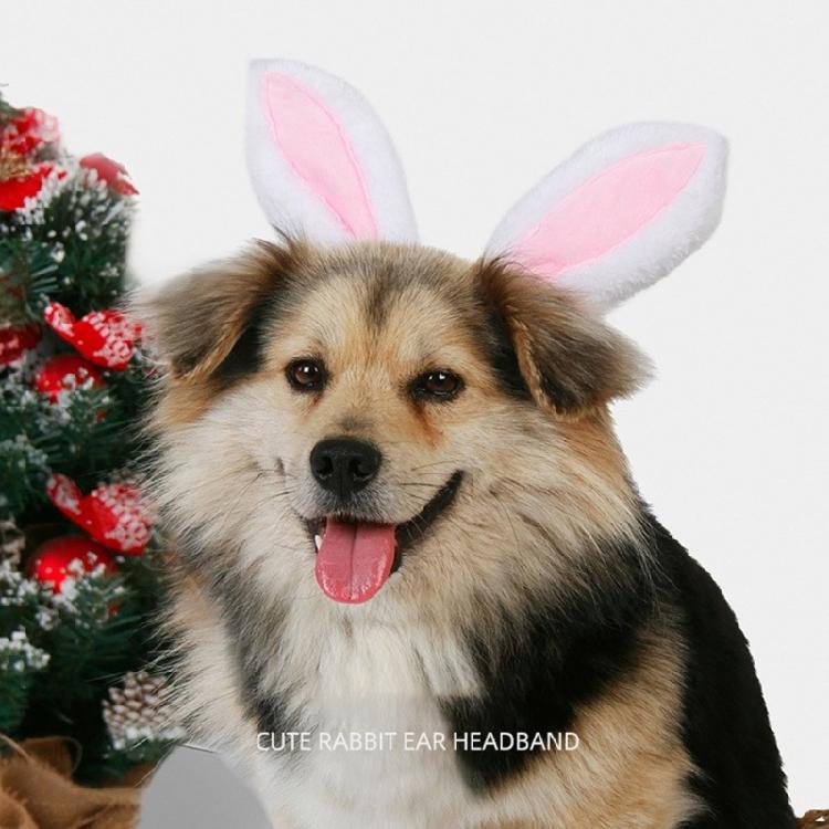 Charm Pet Headbands with Bunnies Ear Stage Performances Creative Headpiece for Holiday Gatherings