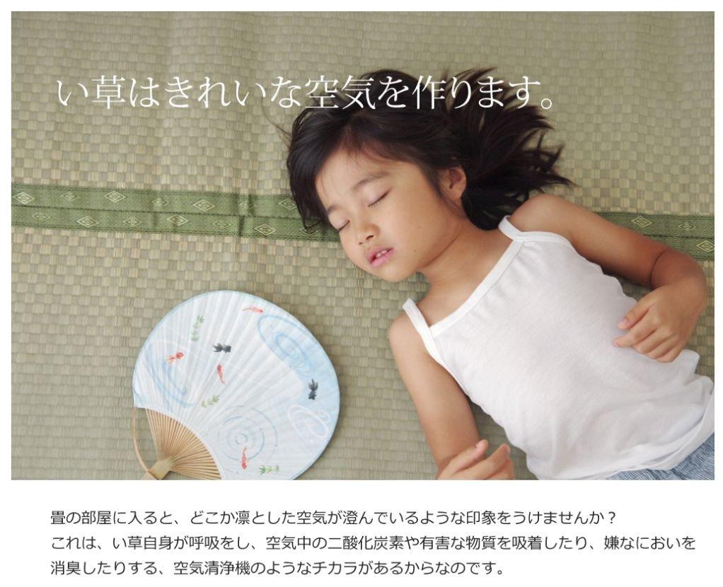 IKEHIKO Corporation IKEHIKO Shiranui Igusa Rug, Honma 1 Tatami Size (approx. 95 X 191 Cm), Made In Japan, Checkered Weave, Cypress Finish #6300181