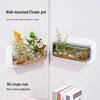 Transparent Wall-Mounted Plant & Fish Tank for Office/Living Room Décor