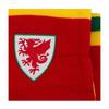 FA Wales Retro Bar Scarf