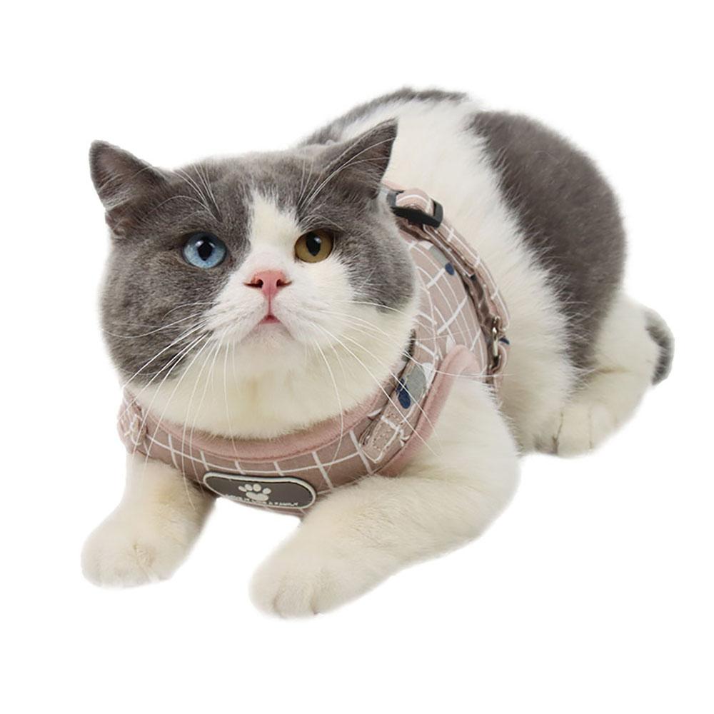 cat chest harness