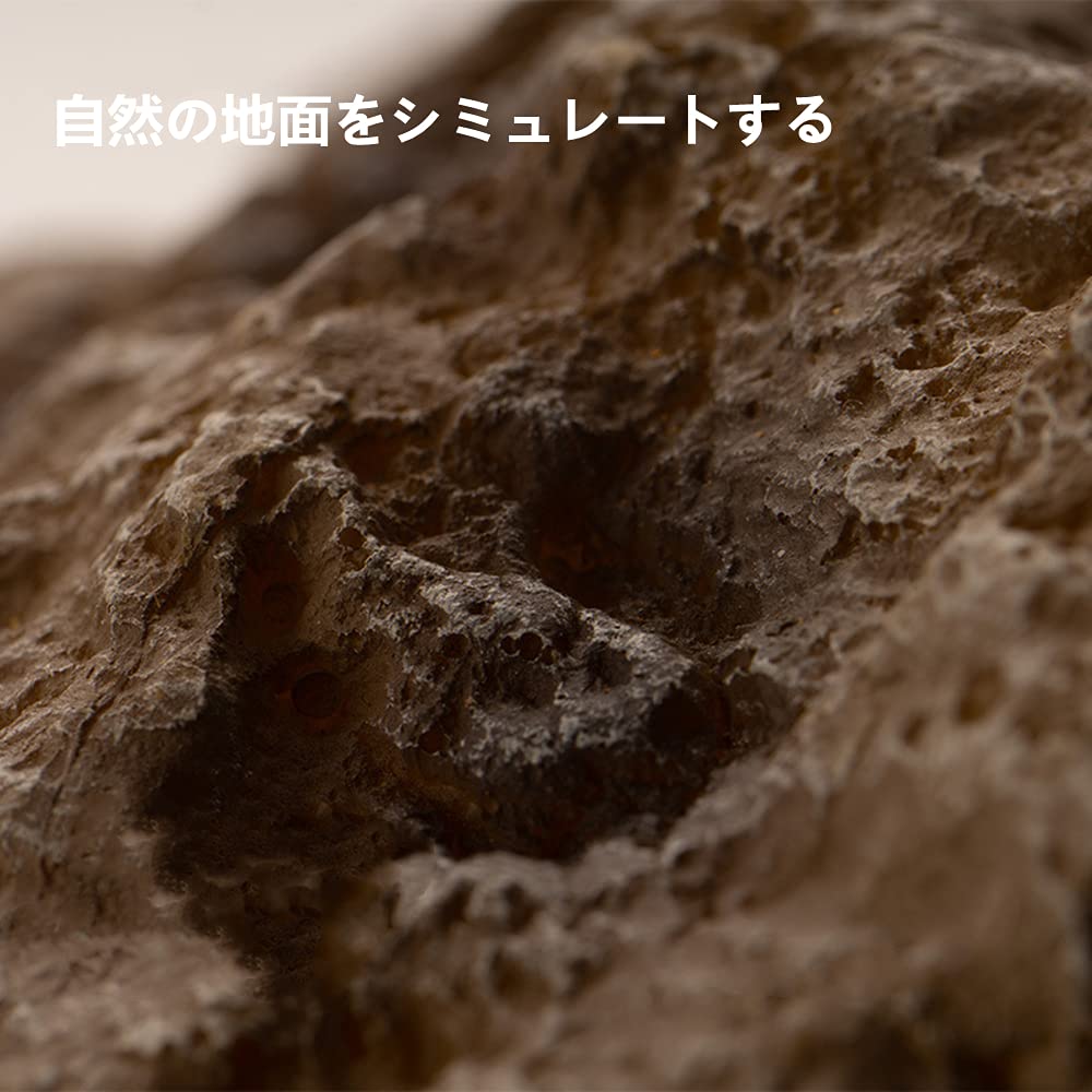 MUYYIKA Reptile Feeding Dish Feeding Tableware Drinking Fountain Breeding Case Accessories Turtle Gecko Lizard Spider Scorpion Amphibians Feeding Dish