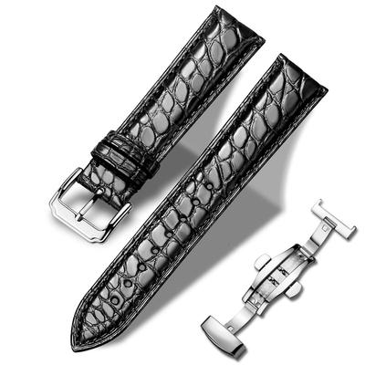 Moran Crocodile Leather Watch Strap with D-Buckle, 18mm, 19mm, 20mm, 21mm, 22mm, 23mm, 24mm, Waterproof and Sweatproof, Replacement Strap