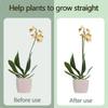 20/40/60Pcs Plant Support Sticks Reusable Flower Holder Clips Orchid Rod Plant Sticks For Supporting Climbing Plant Garden Tool