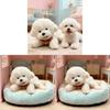 Plush Bichon Dog Toy With Soft Pp Cotton Filling For Kids Gift And Play