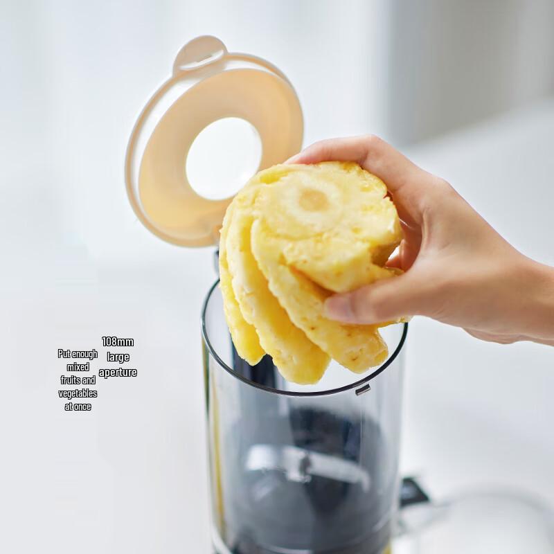 olayks Espremedor Automático a Frio Doméstico OLK-LJ01