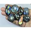 395Cts.Natural Labradorite Multi Fire Mix Cabochon Loose Gemstone 08 Pcs Lot LL-1005