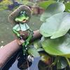 Resin Frog Fishing Garden Statue Handmade Decorative Animal Ornament Mini Pond Frogs Decorations For Indoor and Outdoor