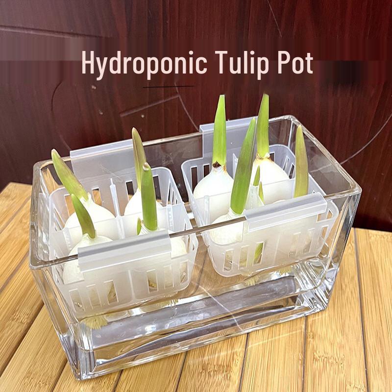 Acrylic Hydroponic Pot with Planting Basket