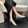 Retro Silver Thick Heel French Mary Jane Shoes 2025 Spring and Autumn New One-word Pointed High Heels Single Shoes Women