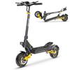 IENYRID IE-ES1 All-Terrain Folding Electric Scooter 1200W*2 Dual Motor 48V20Ah Battery City EScooter 10 Inch Off-Road Tires Adult E-Scooter