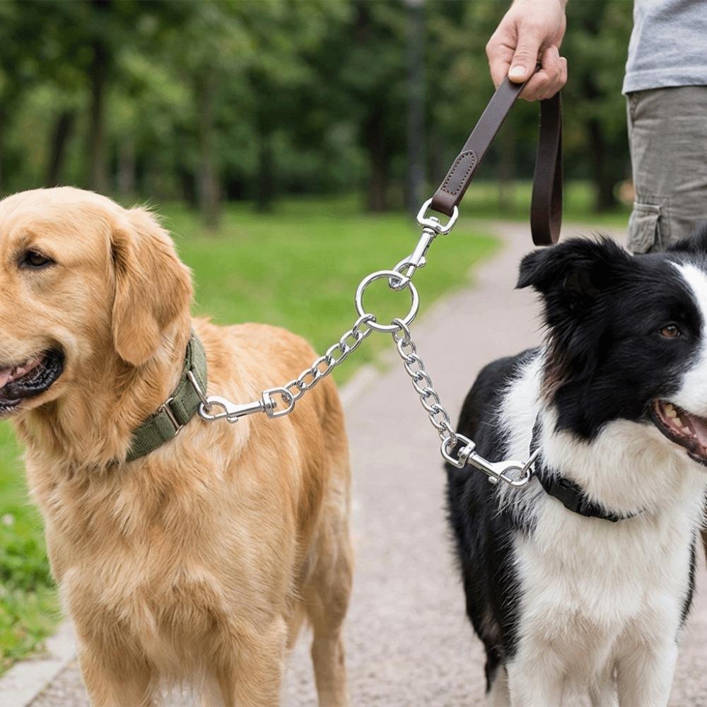 Metal Clasp Dual Dog Coupler Multi Sizes Option Metal Dog Chain Pet Traction Rope Pet Park Visit