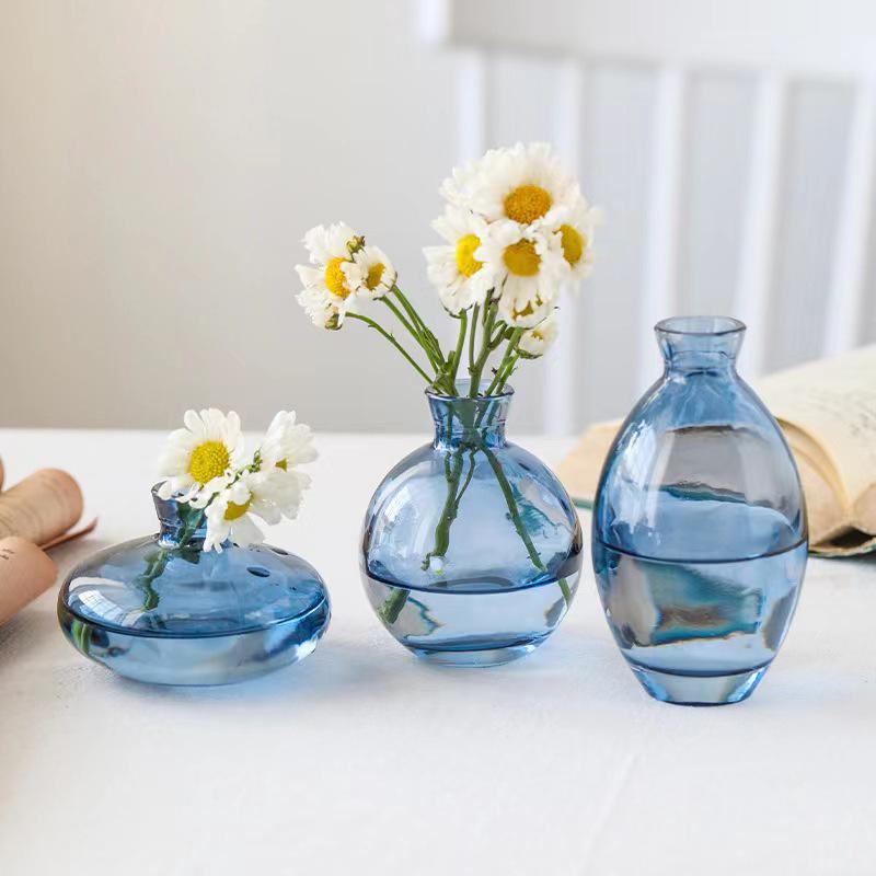 Lux Mini Colored Glass Vase Set for Hydroponic Flowers - Transparent Decorative Ornaments for Living Room