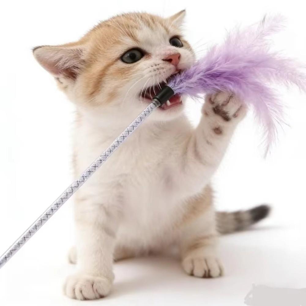 Feather Interactive Cat Toy 42cm Length Cat Toy with Bell Funny Feather Playing Stick for Cats