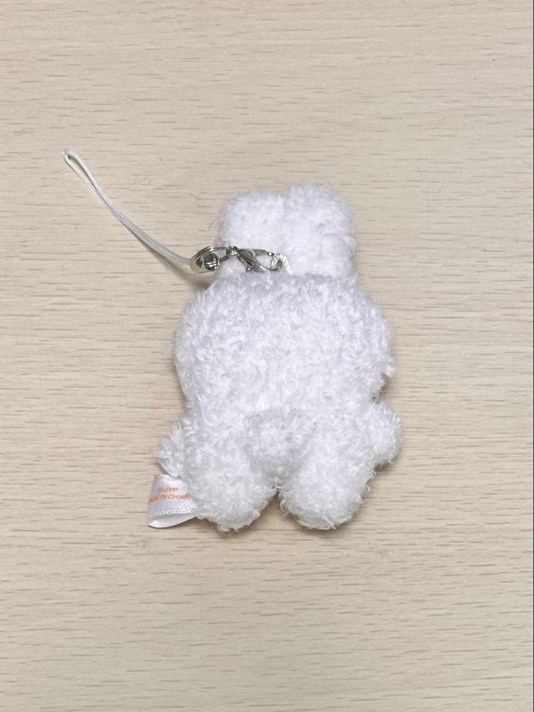 [USED] SKZOO KEYRING MICRO Ver. Leavitt Reno