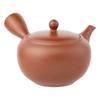 Refreshing for and Made In Tk022 Tokoname-yaki Teapot, Satoyama, Plain, 430ml, Mesh, Deep-Steamed Tea, Hojicha, Genmaicha, Japan, Boxed,