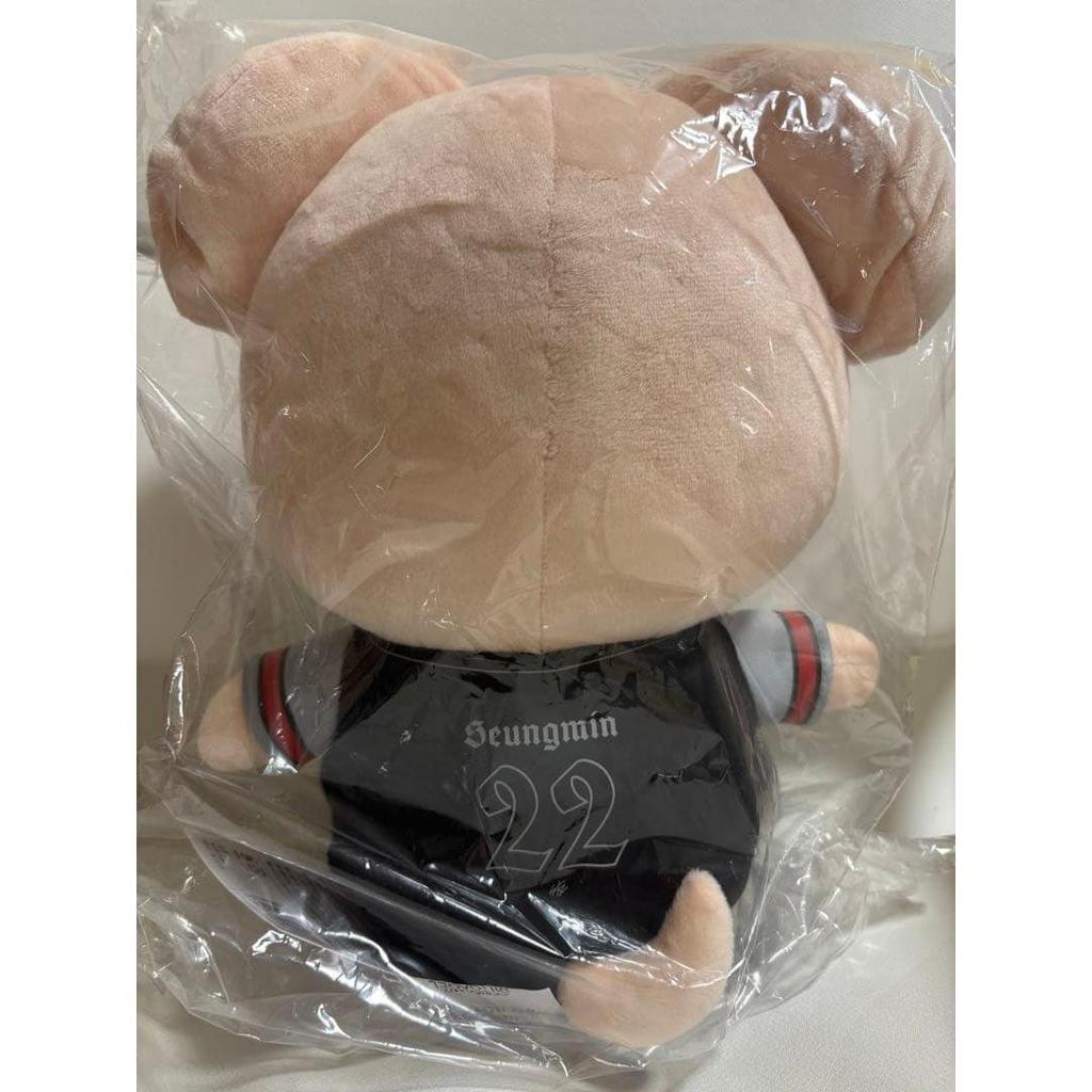 Used Stray Kids Seungmin Puppy Plush Toy New dominATE