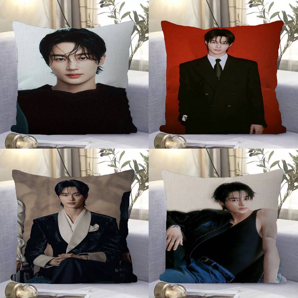 Pandara Jewelry Unisex Korea Model Actor B-Byeon Woo Seok Pillow Cover For Bedroom Room And Living Room Sofa Decorative Cushion Cover