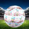Labubu Print Size 5 Soccer Ball, PU Wear Resistant Football for Match Training and Daily Practice, Birthday Gift for Soccer Fans