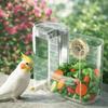 Transparent Bird Feeding Container Hanging Water Dispenser Bird Cage Feeder Waterer  Cockatiel