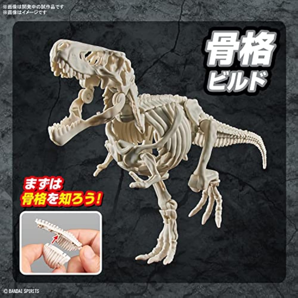 BANDAI SPIRITS (Bandai Spirits) Planosaurus Tyrannosaurus Color Coded Plastic Model