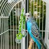 Bite Resistant Parrot Hanging Ball Toy Transparent Ball Colorful Bird Chewing Toy with Bells Bird Birdcage Climbing Ladder
