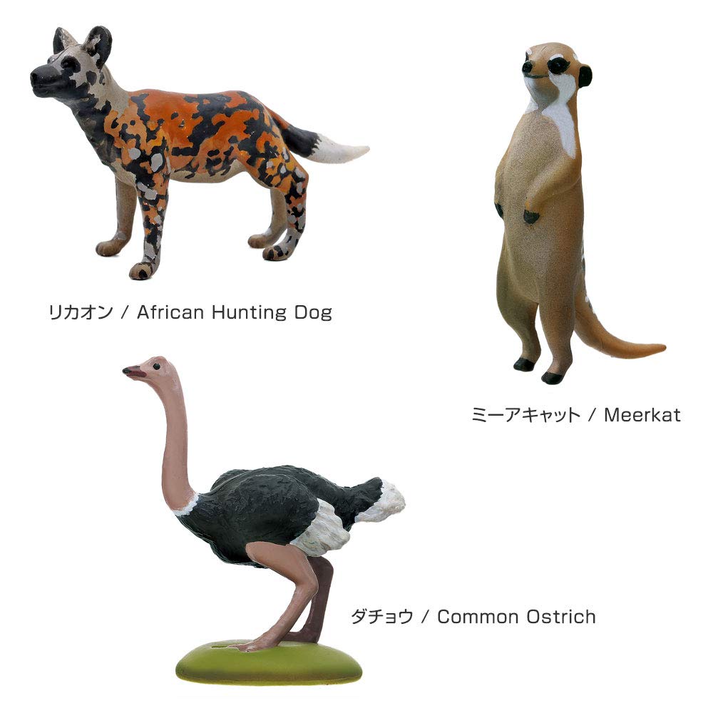 Calorata Animal Geography Zone 1 3D Encyclopedia Ethiopian Animals with Realistic Figures Birthday Gift Sanitation Law Animal Toy Figure Gift (12 /