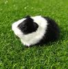 Simulation Animal Simulation Rat Students Cognitive Animal Model Dynamic Simulation Guinea Pig Dutch Pig Hamster