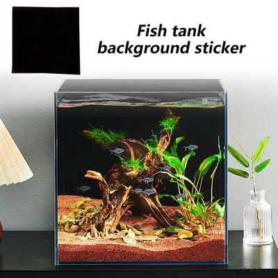 Fische & Meerestiere – Aquarien-Einrichtung