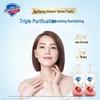 Safeguard Red Pomegranate Foaming Body Wash