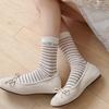 2026 New Mesh Floral Lace Women's Thin Striped Long Socks - Spring & Summer Korean Style
