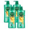 Hazeline Ginger Root Strengthening & Oil Control Shampoo