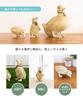 Duck Bird Garden Decorative Cute Set of 2 for Ornament, Figurine, Item, White, (Perfect Children)