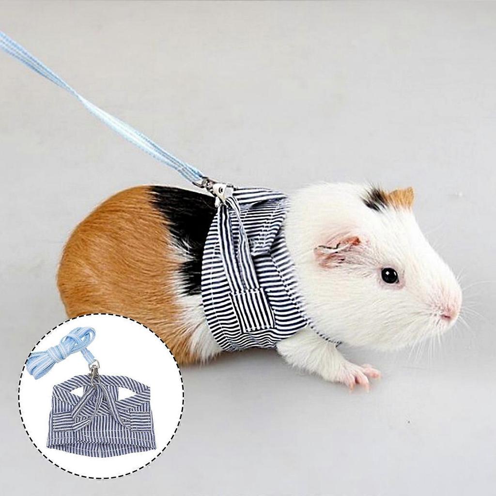 Small Pet and Leash for Guinea Pigs, Lightweight, Comfortable,, Sizes S 18-24cm & L 24-27cm