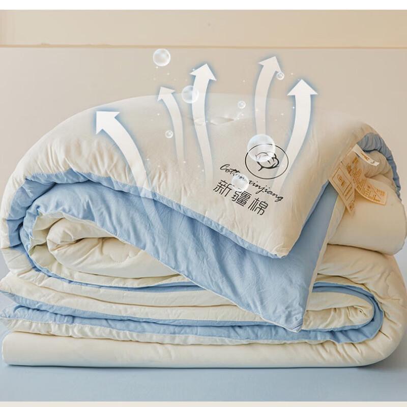 Thick Xinjiang Cotton Winter Quilt