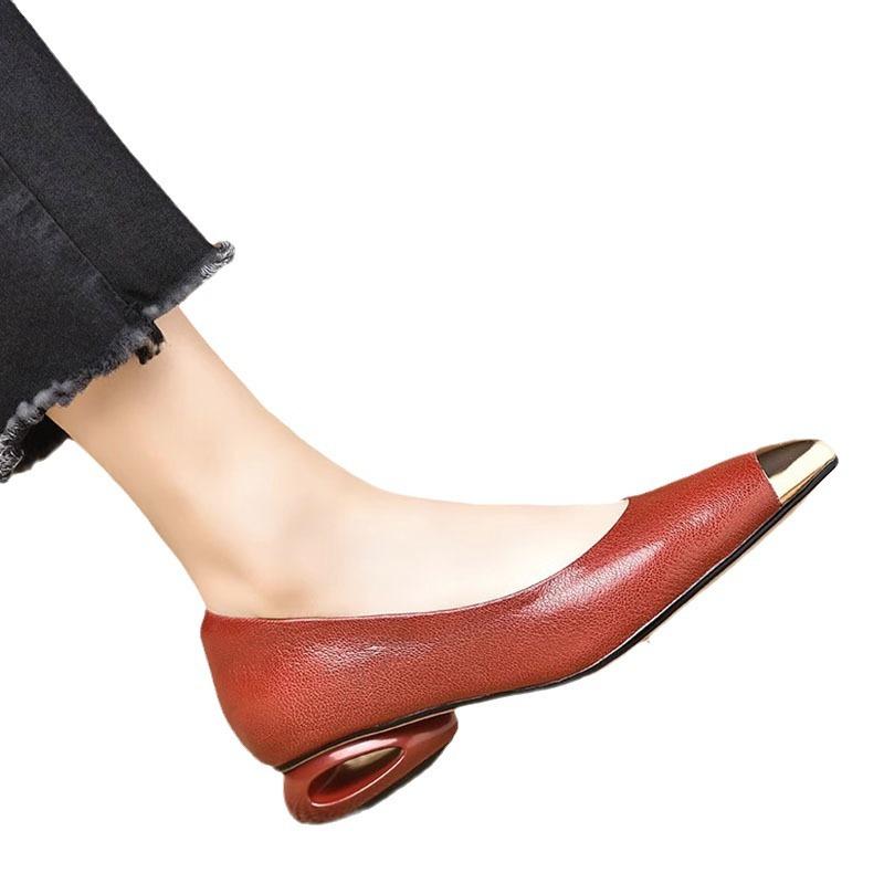 French Temperament Metal Pointed Thick Heel Single Shoes Women's 2025 Autumn New Shallow Mouth One Pedal Retro Mary Jane Shoes