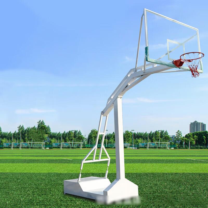 Adult Portable Basketball Hoop