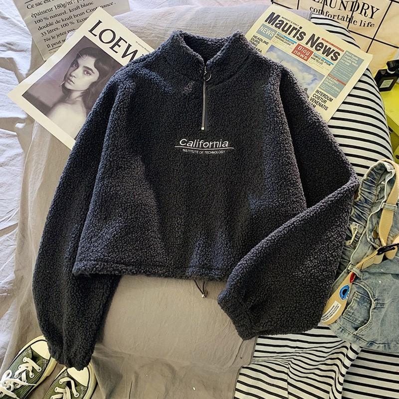 Womens Short Fleece Zip Sweatshirt Plus Size Loose Warm Winter Top Casual Hoodie Alternative