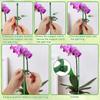 40PCS Plant Support Stick Reusable Flower Holder Clips Plant Extension Pole Stick For Support Climbing Plants Garden Accessories