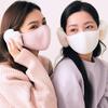 Women's Winter Velvet Ear and Face Protection Mask