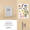 Nordic Creative DIY 3D Dried Flower Frame Kit - Simple Metal & Glass with Glue