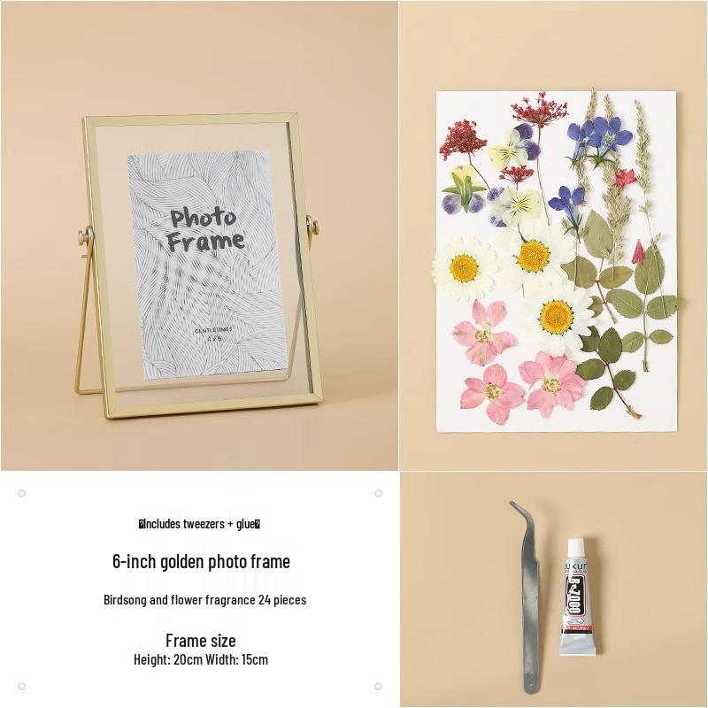 Nordic Creative DIY 3D Dried Flower Frame Kit - Simple Metal & Glass with Glue
