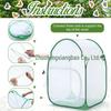 Portable 360-Degree Transparent Insect and Butterfly Observation Cage