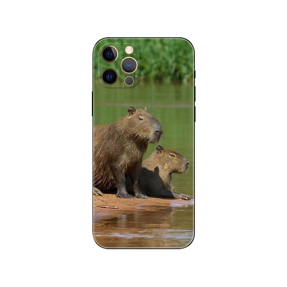 Capybara pouzdro na telefon pro iPhone 5 5s 2020se 6 6s 7 8 plus x 10 XR XS 11 12 13 mini pro MAX černý zadní kryt TPU
