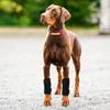 ROZKITCH Dog Leg Protector for Rear Hock Joint or Front Leg Knee, 1 Pair of Dog Leg Compression Wrap Sleeve for Anti Licking Carpal Support Ankle