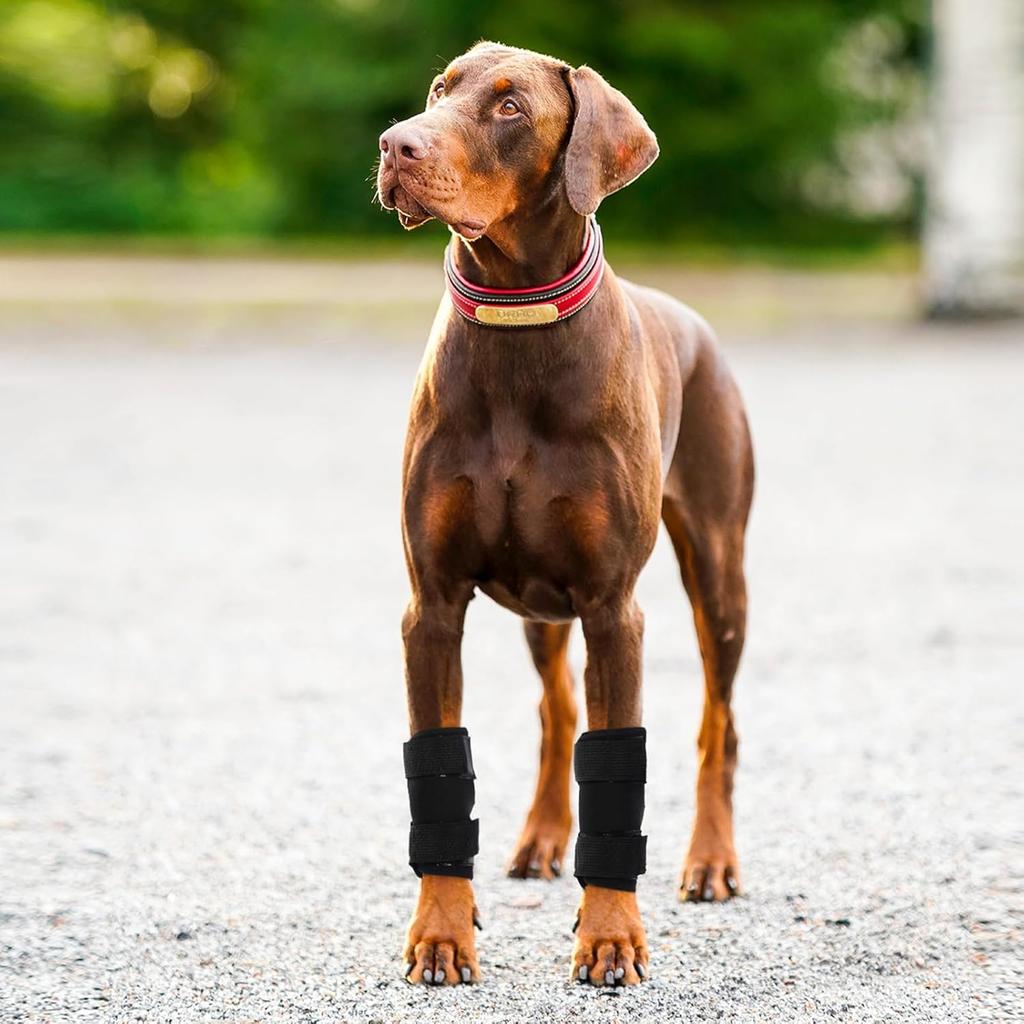 ROZKITCH Dog Leg Protector for Rear Hock Joint or Front Leg Knee, 1 Pair of Dog Leg Compression Wrap Sleeve for Anti Licking Carpal Support Ankle